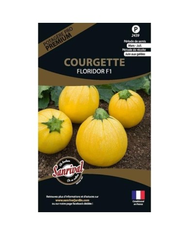 Courgette Floridor HF1 (sachet)