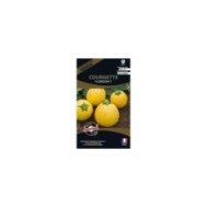 Courgette Floridor HF1 (sachet)
