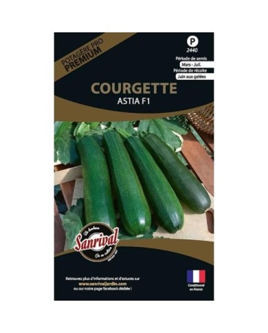 Courgette Astia F1 (sachet)