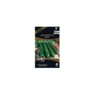 Courgette Astia F1 (sachet)