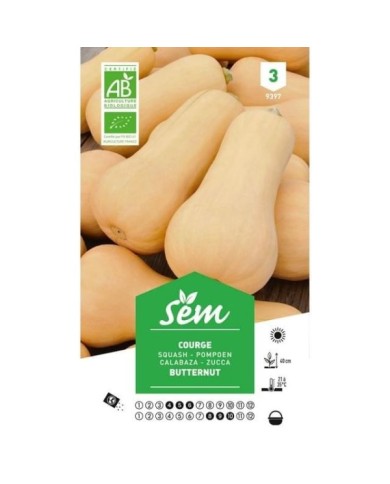 Courge Butternut Bio (sachet)