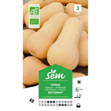 Courge Butternut Bio (sachet)