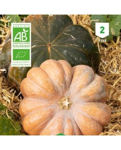 Courge musquée de Provence Bio