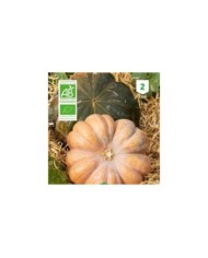 Courge musquée de Provence Bio
