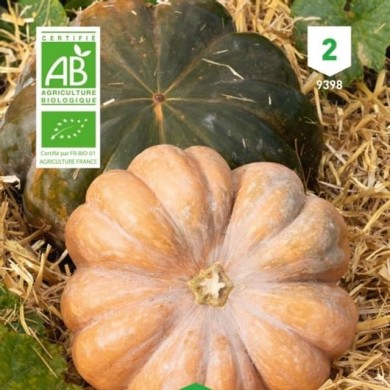 Courge musquée de Provence Bio