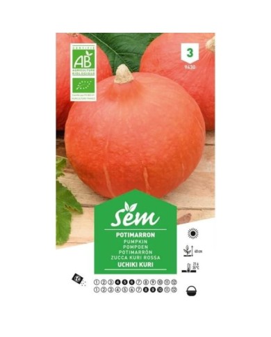 Potimarron Uchiki Kuri Bio (sachet)