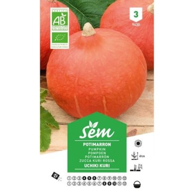 Potimarron Uchiki Kuri Bio (sachet)