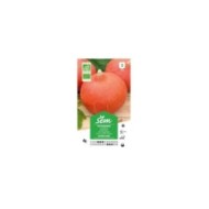 Potimarron Uchiki Kuri Bio (sachet)