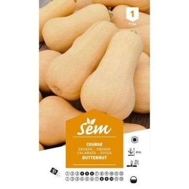 Courge Butternut (sachet)