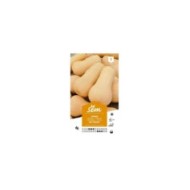 Courge Butternut (sachet)