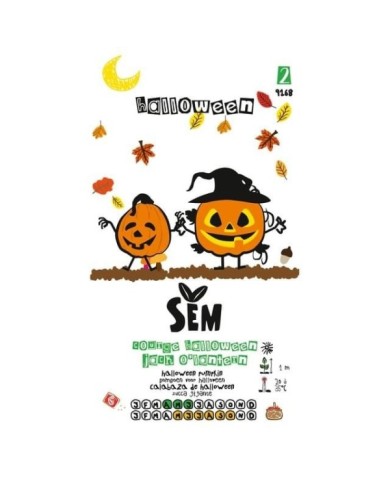 Courge Jack O'Lantern (Halloween) gamme Kid (sachet)