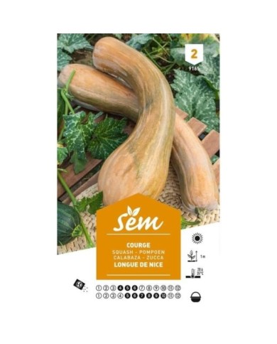 Courge longue de Nice (sachet)