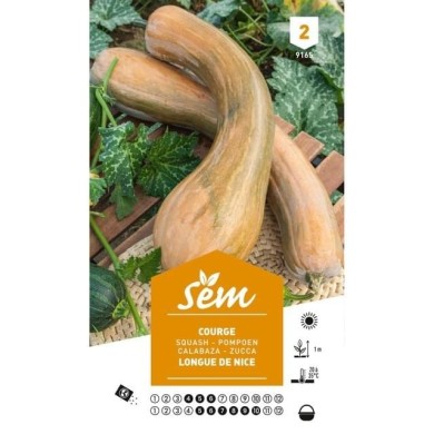 Courge longue de Nice (sachet)