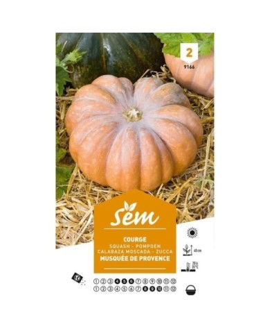 Courge musquée de Provence (sachet)
