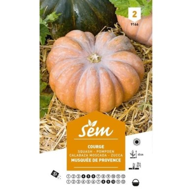 Courge musquée de Provence (sachet)