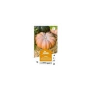 Courge musquée de Provence (sachet)