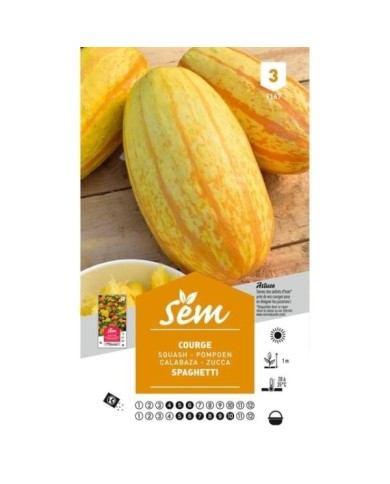 Courge Spaghettis (sachet)