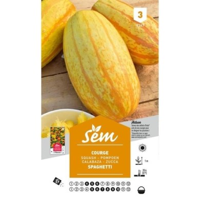 Courge Spaghettis (sachet)