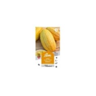 Courge Spaghettis (sachet)