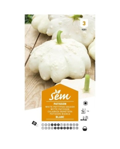 Patisson blanc (sachet)