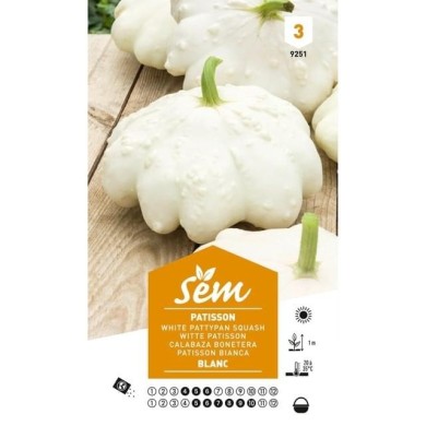 Patisson blanc (sachet)