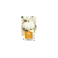 Patisson blanc (sachet)