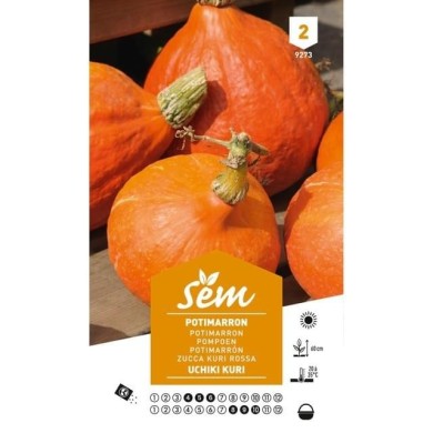 Potimarron (sachet)