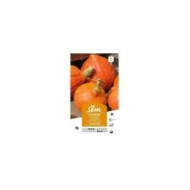 Potimarron (sachet)