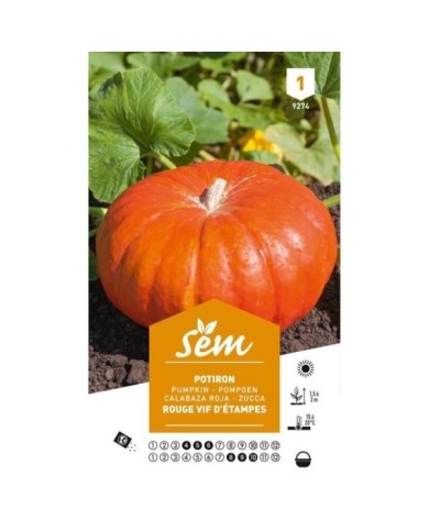 Potiron rouge d'Etampes (sachet)