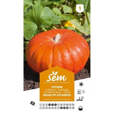 Potiron rouge d'Etampes (sachet)