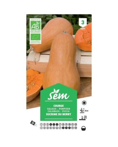 Courge sucrine du Berry Bio (sachet)