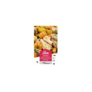 Coloquinte Petit fruit (sachet)
