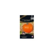 Courge jack o’lantern (halloween) (sachet)