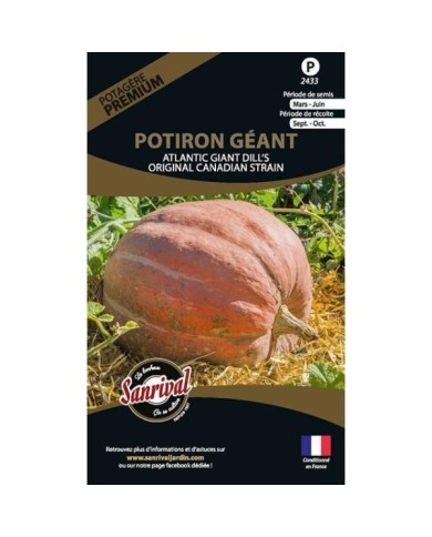Potiron géant Atlantic Giant Dill's (sachet)