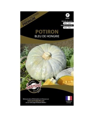 Potiron Bleu de Hongrie (sachet)