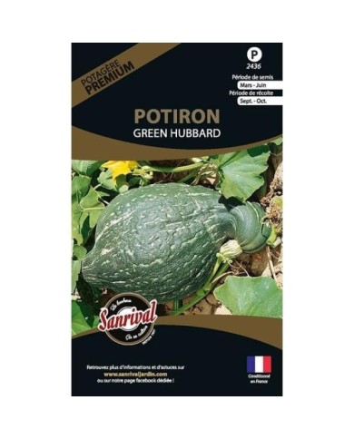 Potiron  Green Hubbard (sachet)