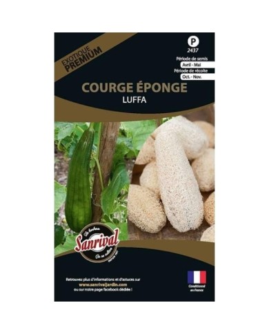 Courge éponge Luffa (sachet)
