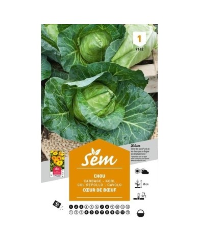 Chou Coeur de Boeuf (sachet)