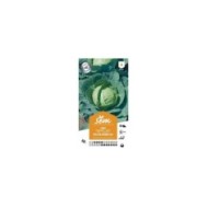 Chou Tête de Pierre F1 (sachet)
