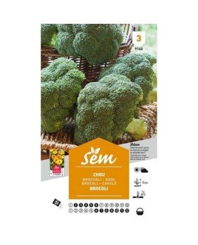 Chou brocoli hâtif (sachet)
