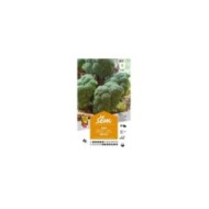 Chou brocoli hâtif (sachet)