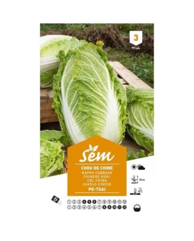Chou de Chine Tshai (sachet)