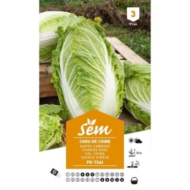 Chou de Chine Tshai (sachet)