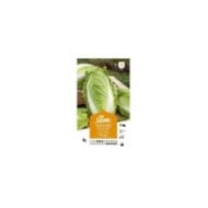 Chou de Chine Tshai (sachet)