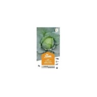 Chou cabus Quintal d'Alsace (sachet)