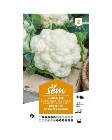 Chou fleur toutes saisons (sachet)