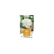Chou fleur toutes saisons (sachet)