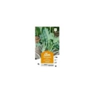 Chou fourrager Protéor (sachet)