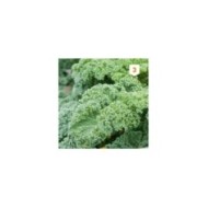 Chou Kale