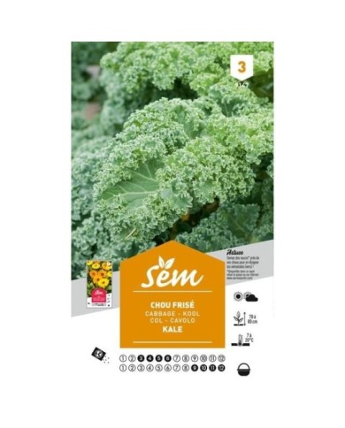 Chou Kale (sachet)